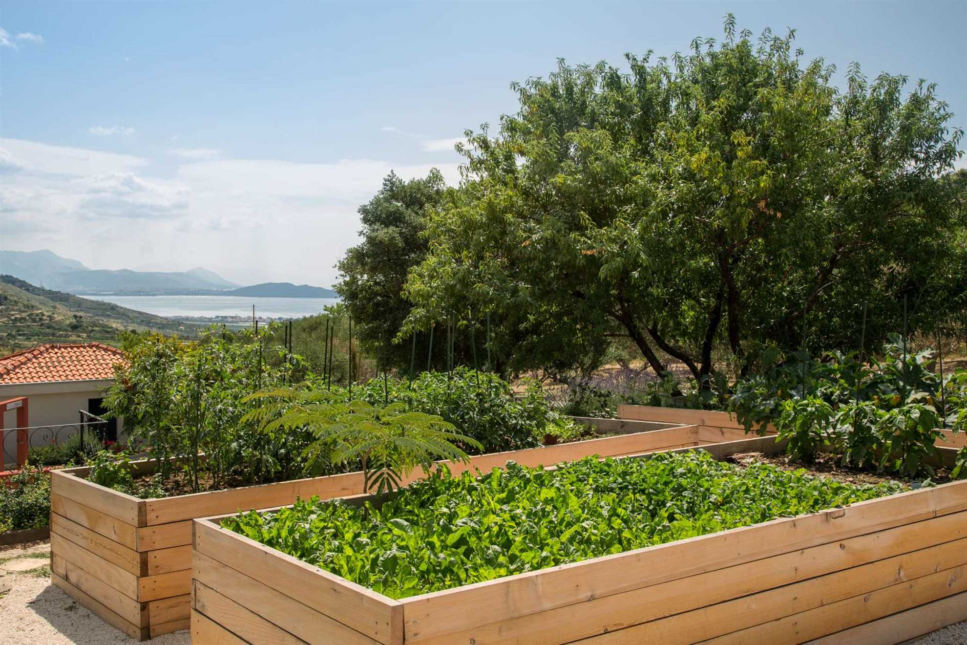 Finca Olive Grove - four bedrooms, heated pool, stunning views on 16000m2
