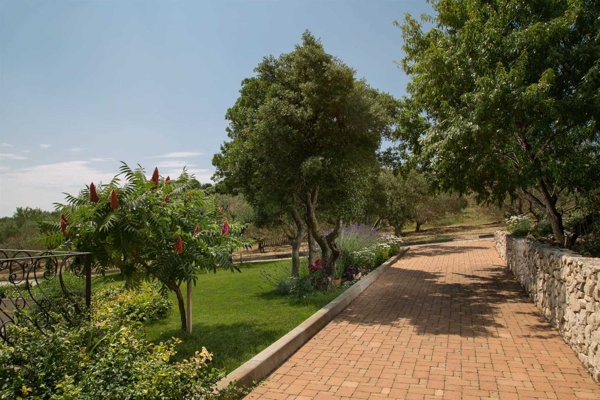 Finca Olive Grove - four bedrooms, heated pool, stunning views on 16000m2