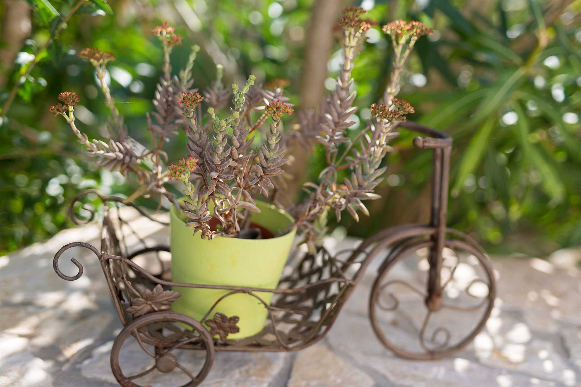 Ferienhaus NIKA mit Pool und Whirlpool