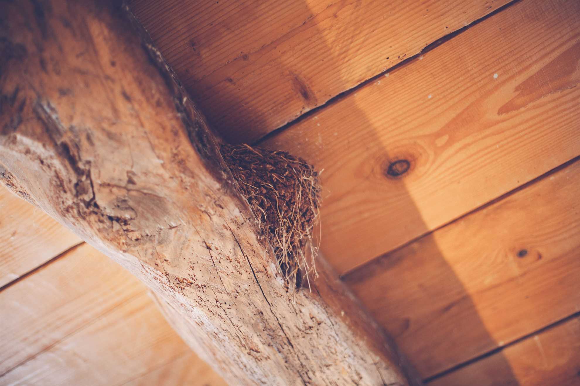 Luksuzna Villa DELUXE sa bazenom i saunom