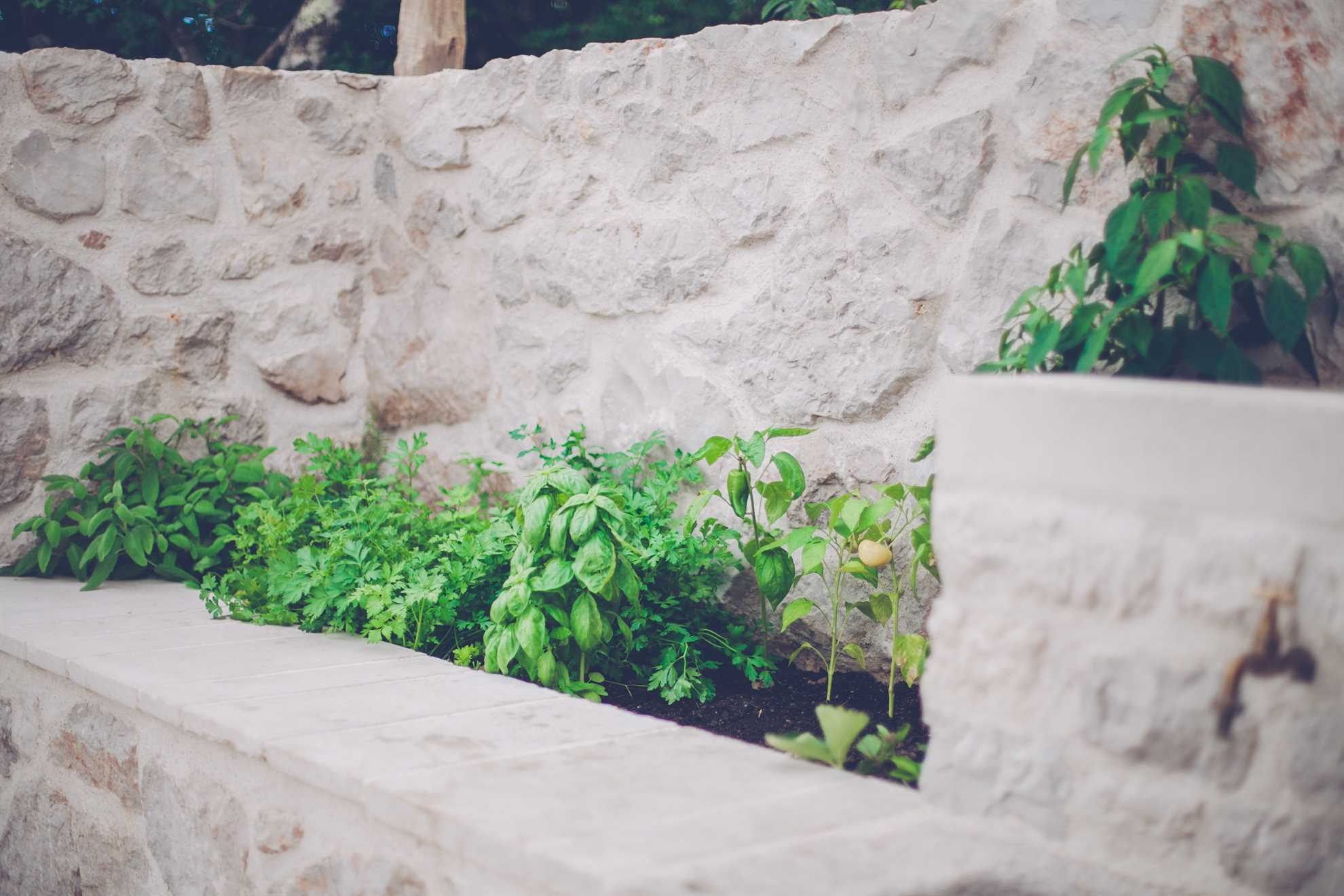 Luksuzna Villa DELUXE sa bazenom i saunom