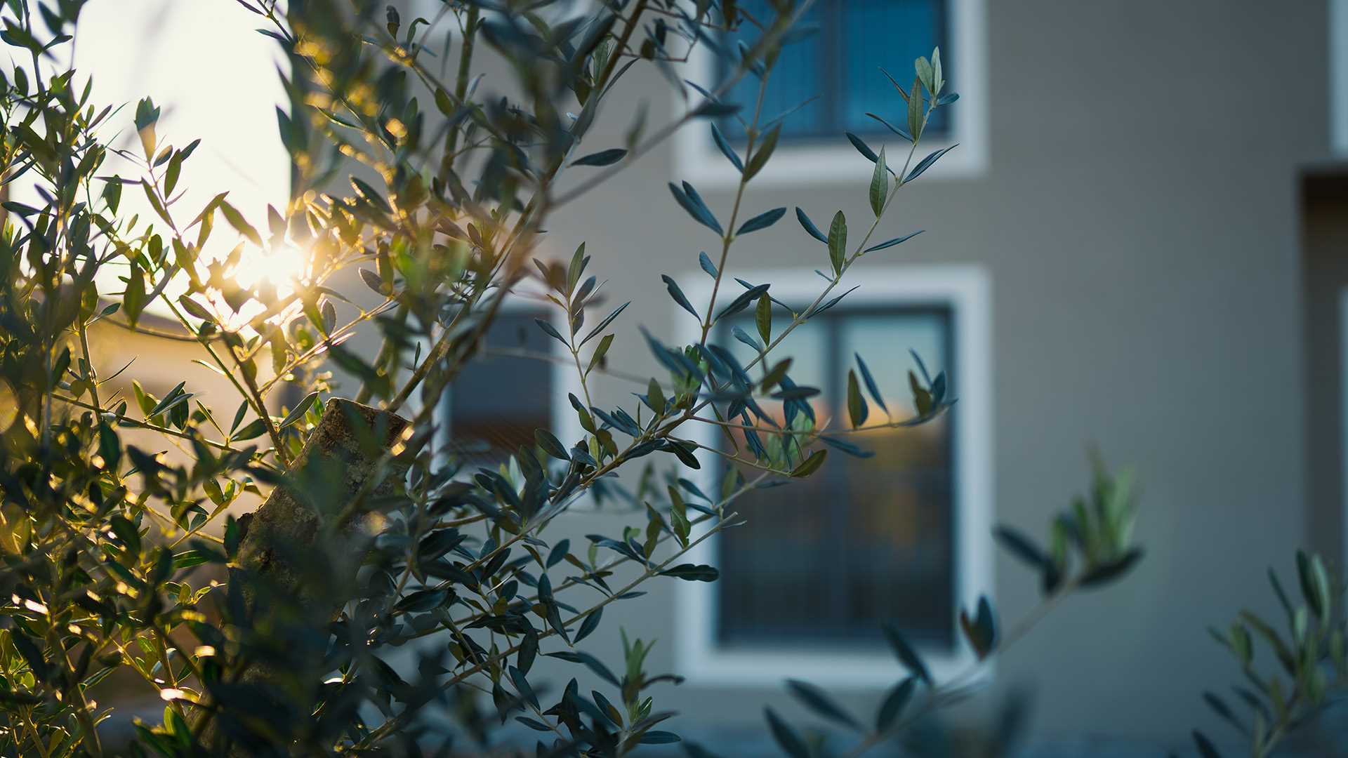 Villa Gardenia with pool and garden