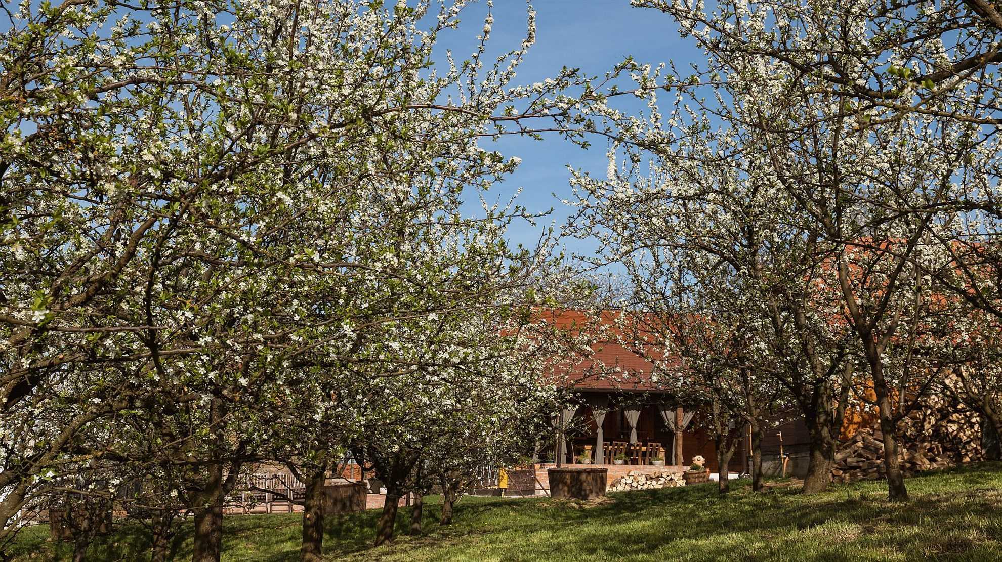 Charming eco-rural holiday home in Lopatinec