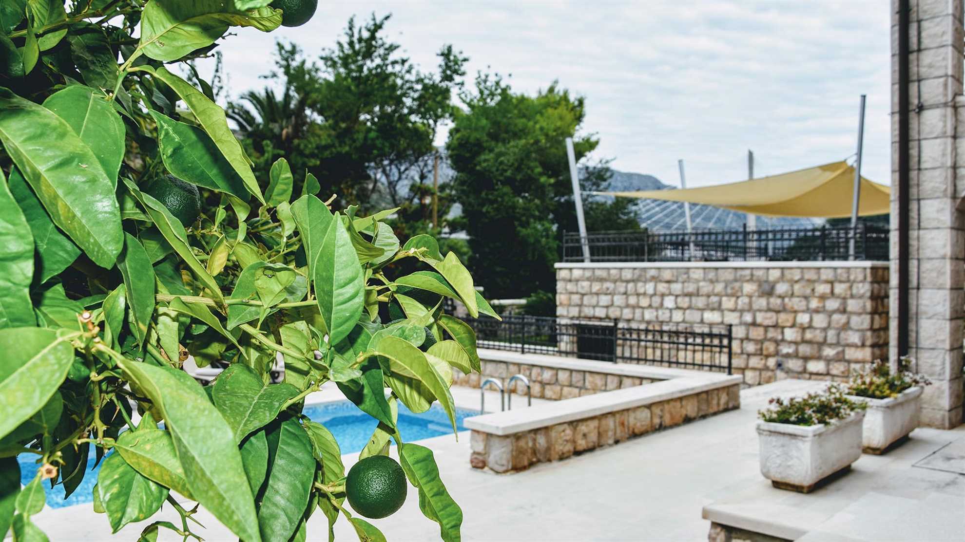 Elegant pet friendly villa in Dubrovnik