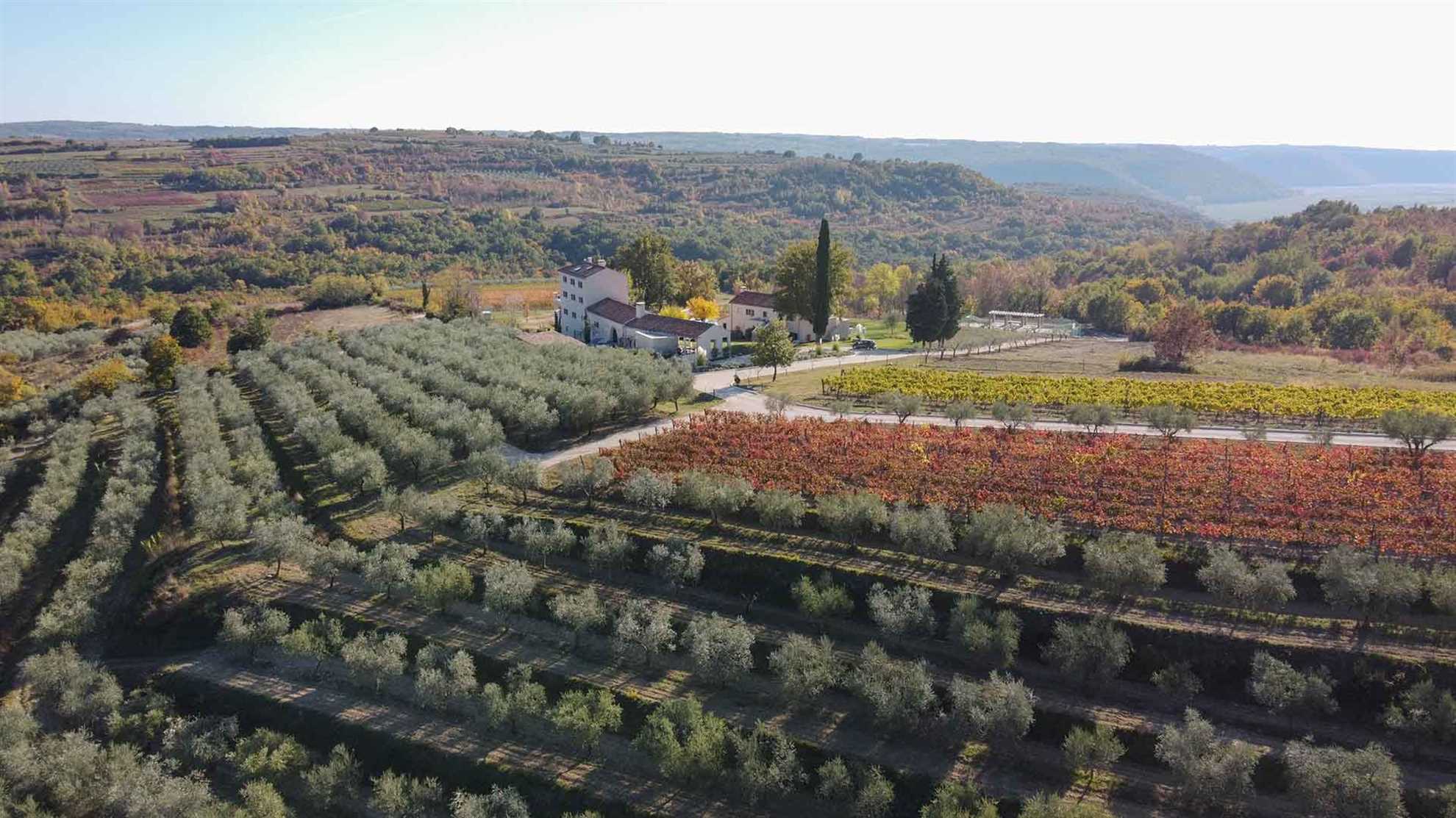 Magnificent luxurious mansion and estate in Buje