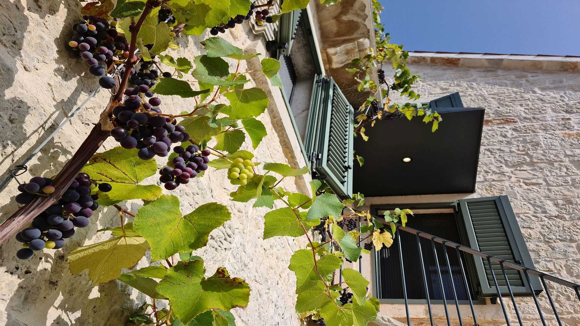 Villa Qualia, Srbinjak