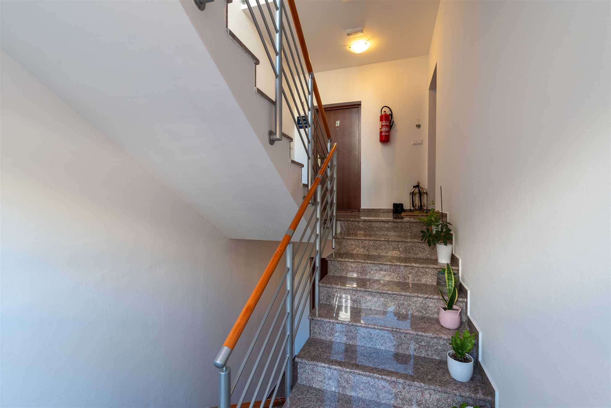 Apartment  Pinocchio