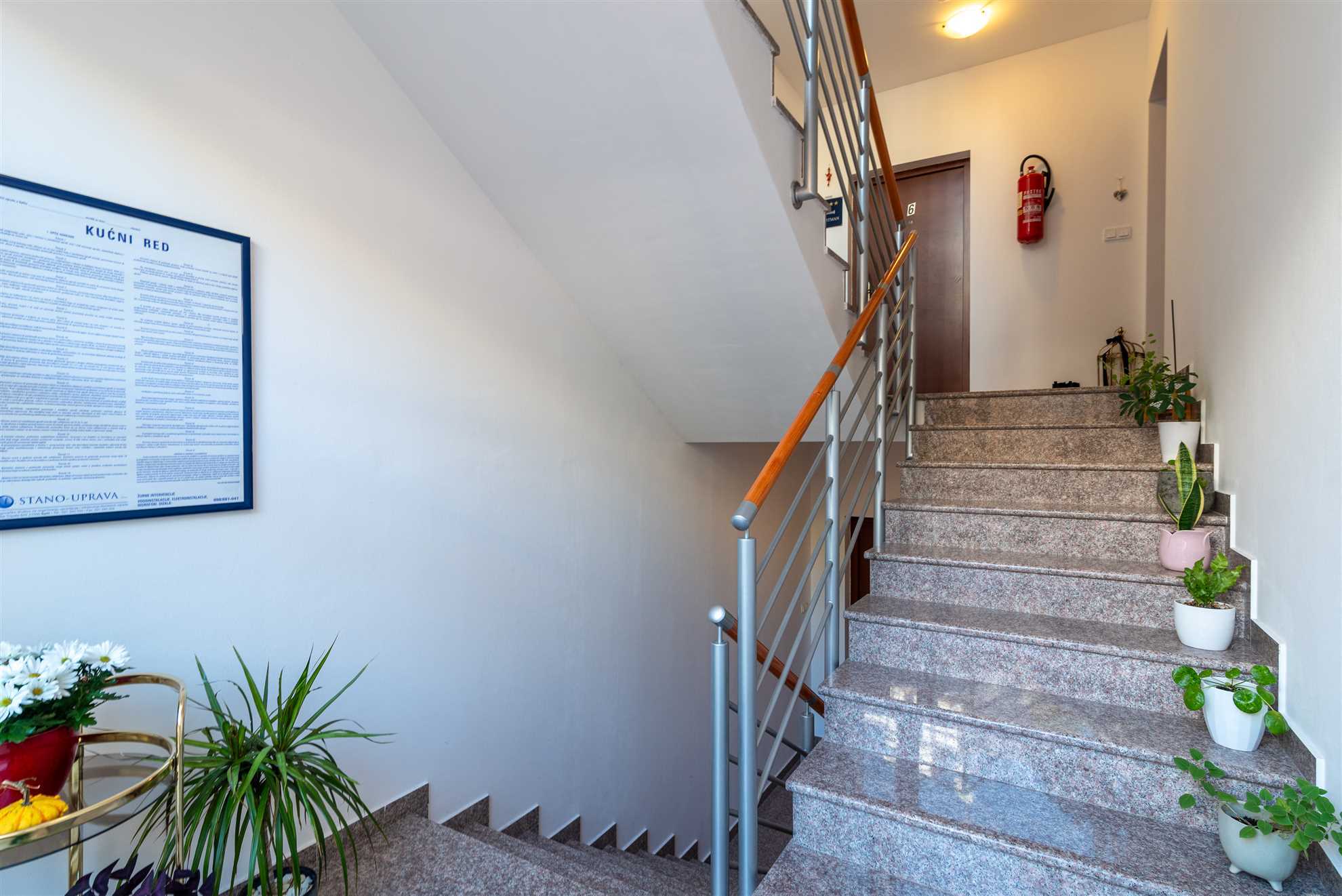 Apartment  Pinocchio