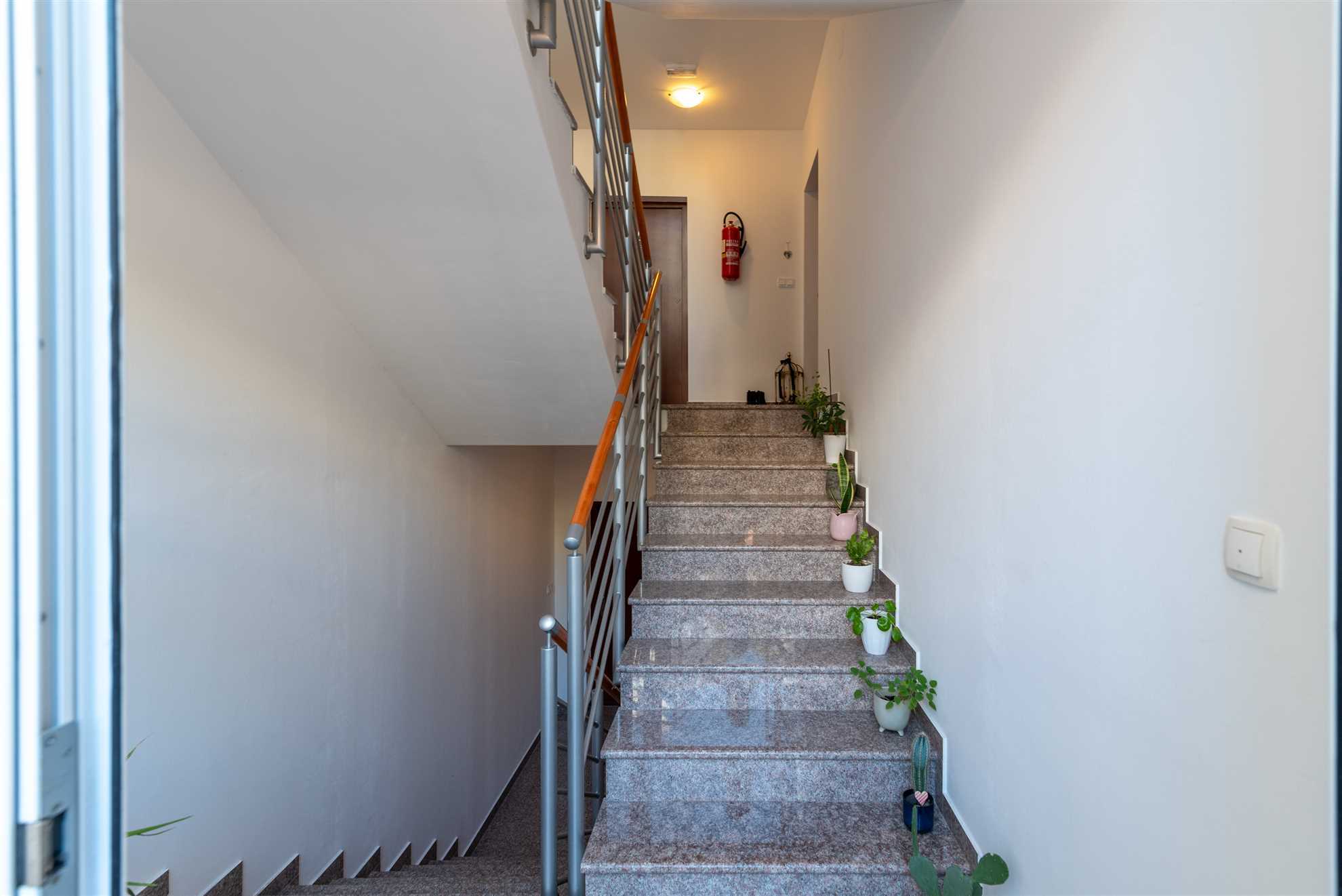 Apartment  Pinocchio