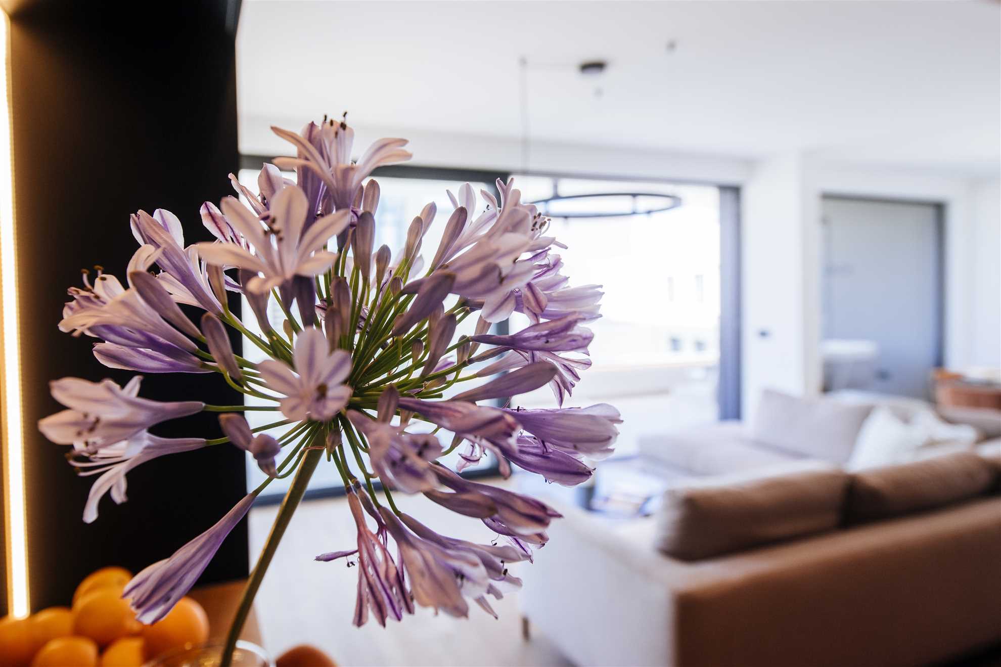 Crystal Holiday Residence - 3-sobno stanovanje