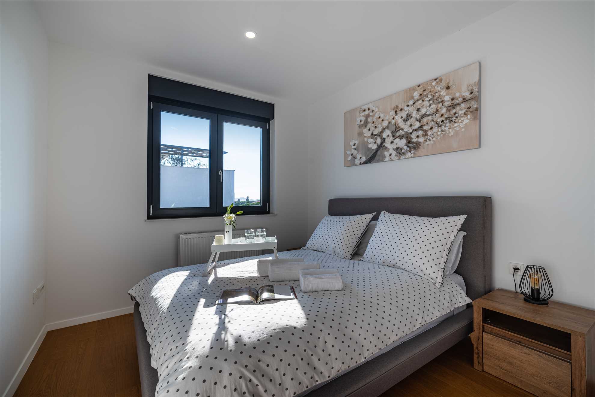 APARTMENT DALMO VIEWS