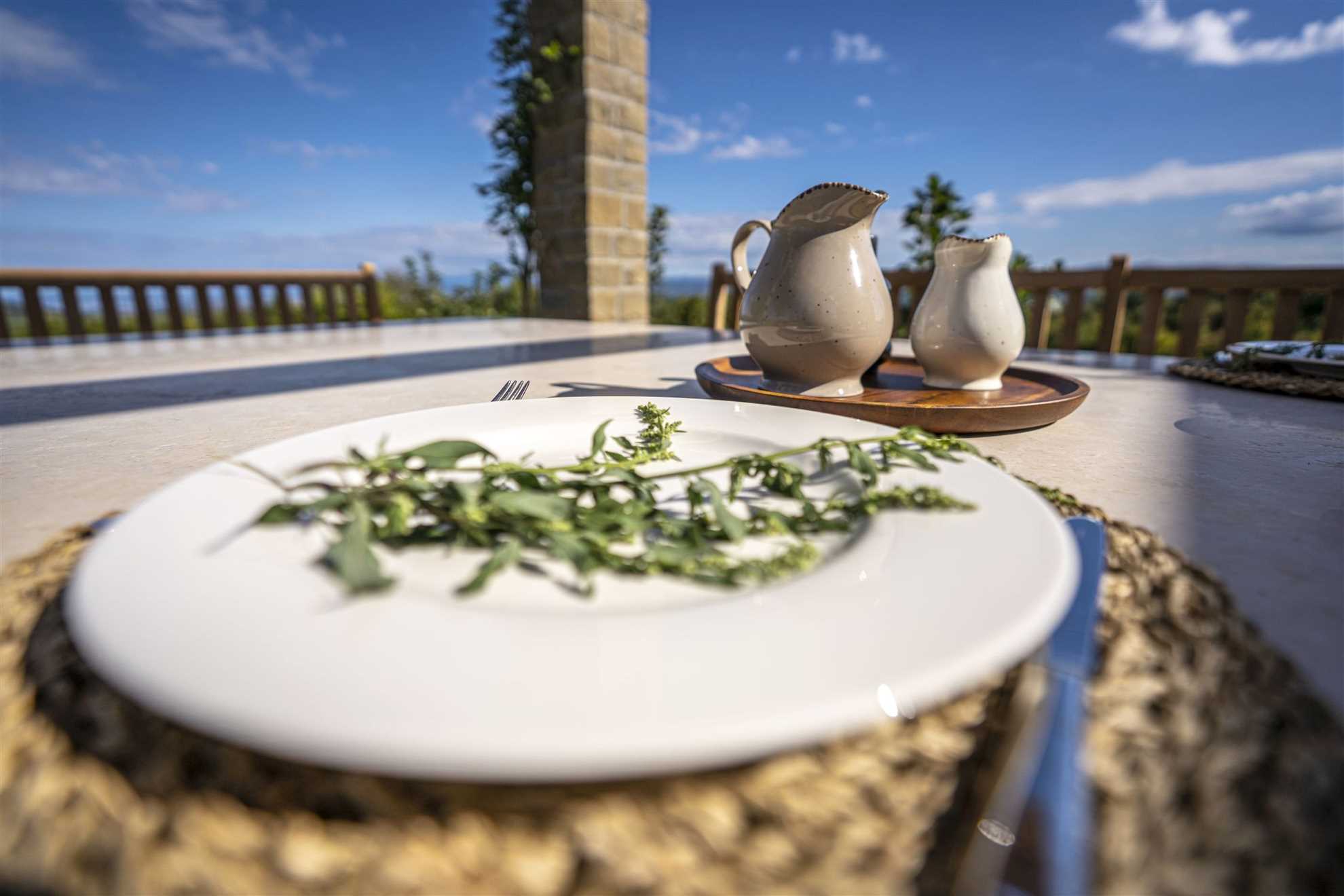 Villa Paradiso d'Istria