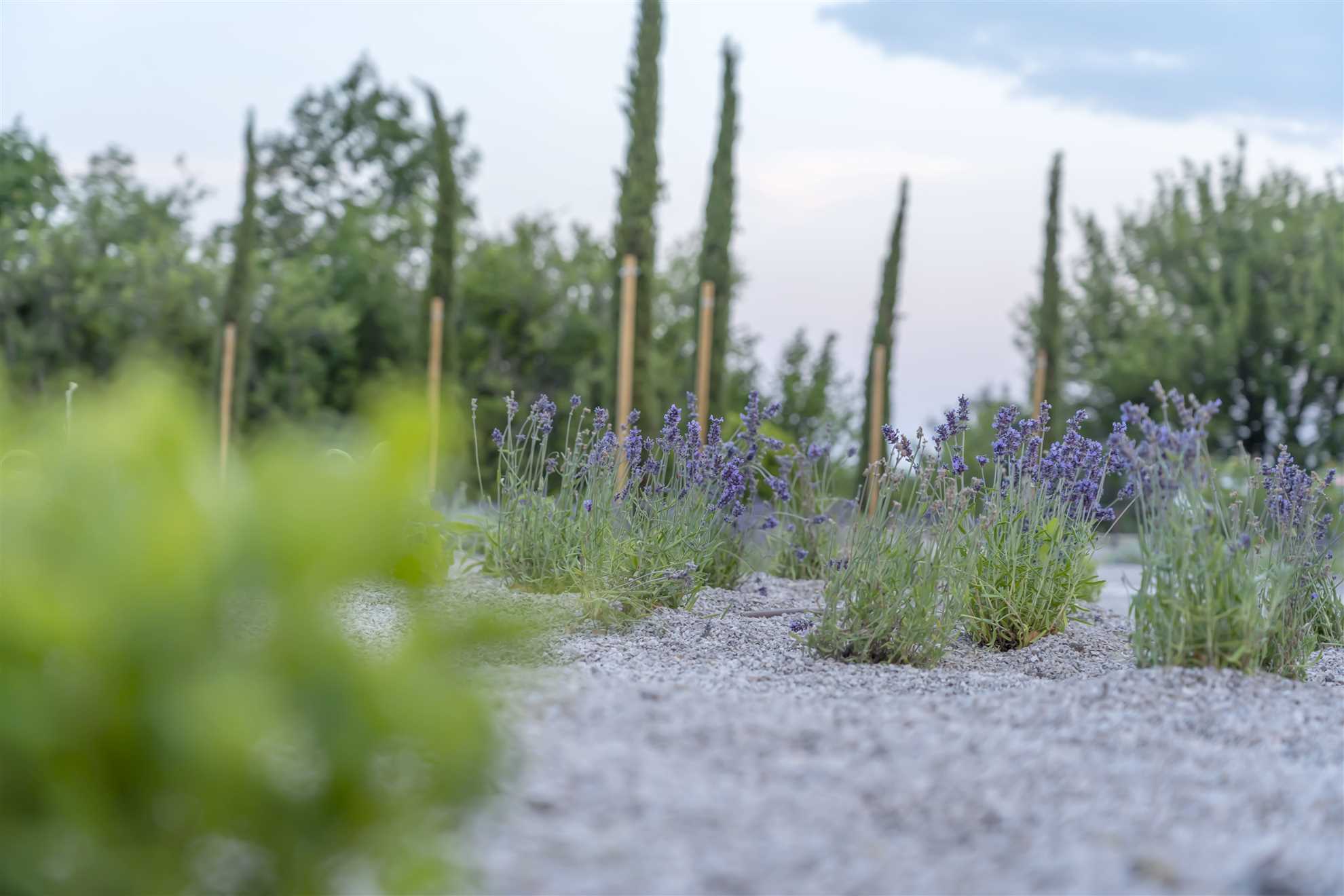 Villa Paradiso d'Istria