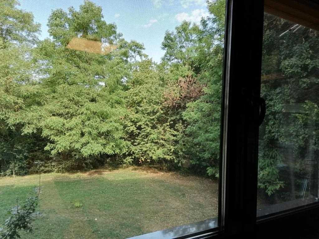 Green Oasis