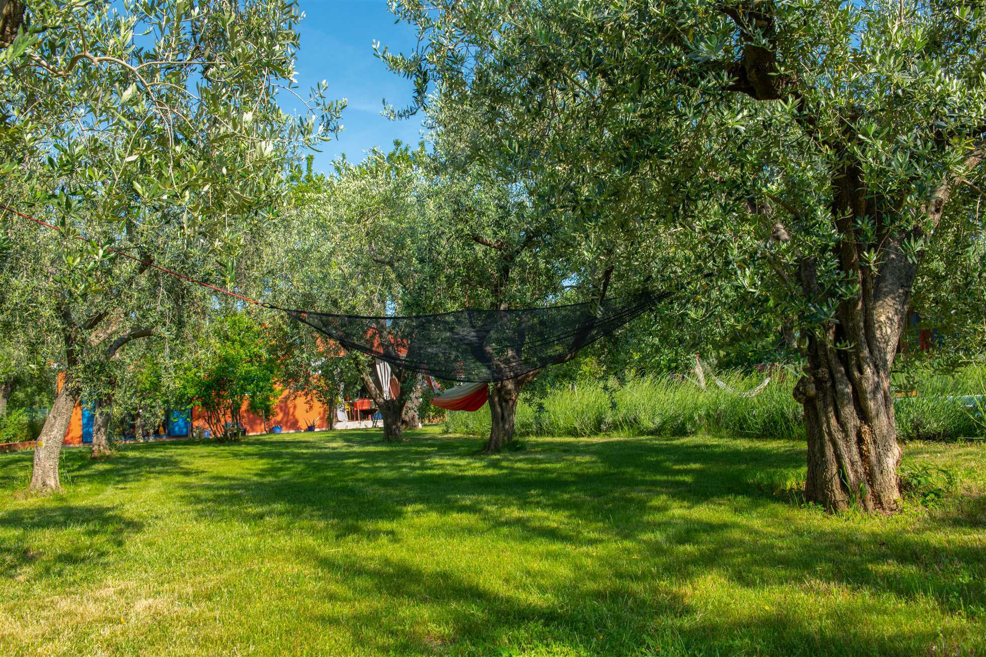 Home Lunge in nature