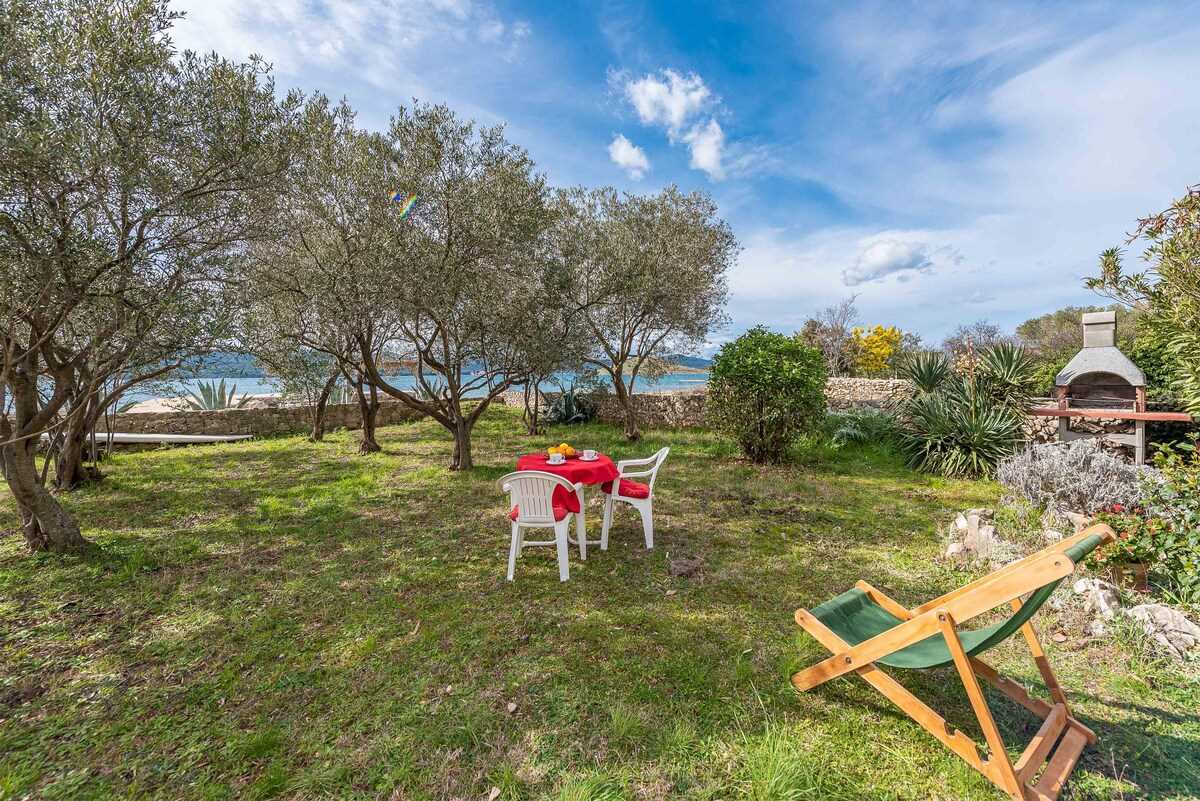 Beachfront Apartment Lostura with sea view