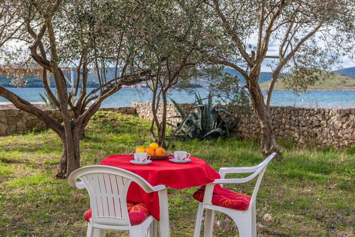 Beachfront Apartment Lostura with sea view