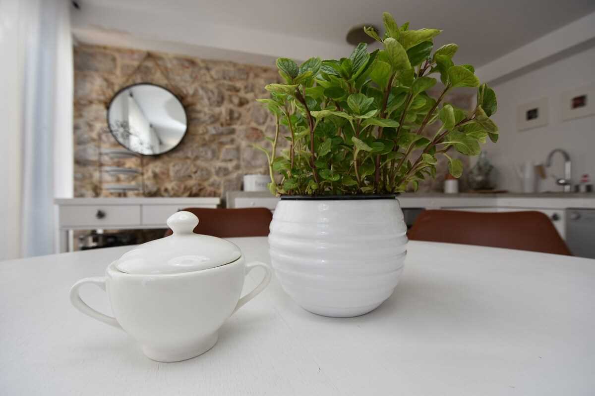 Kuća Babe Stane | Adriatic Luxury Villas