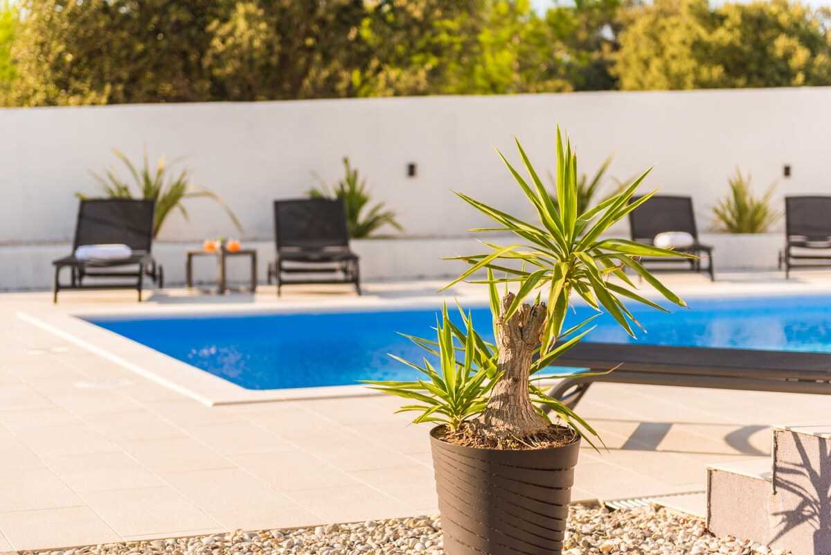 Villa Pollux | Adriatic Luxury Villas