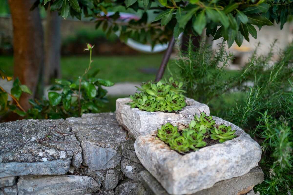 Villa Daja | Adriatic Luxury Villas