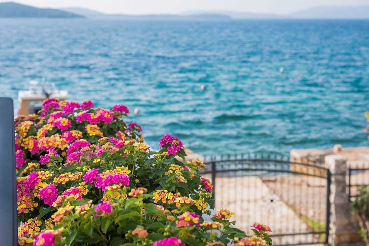 Villa Flores Adriatica | Adriatic Luxury Villas