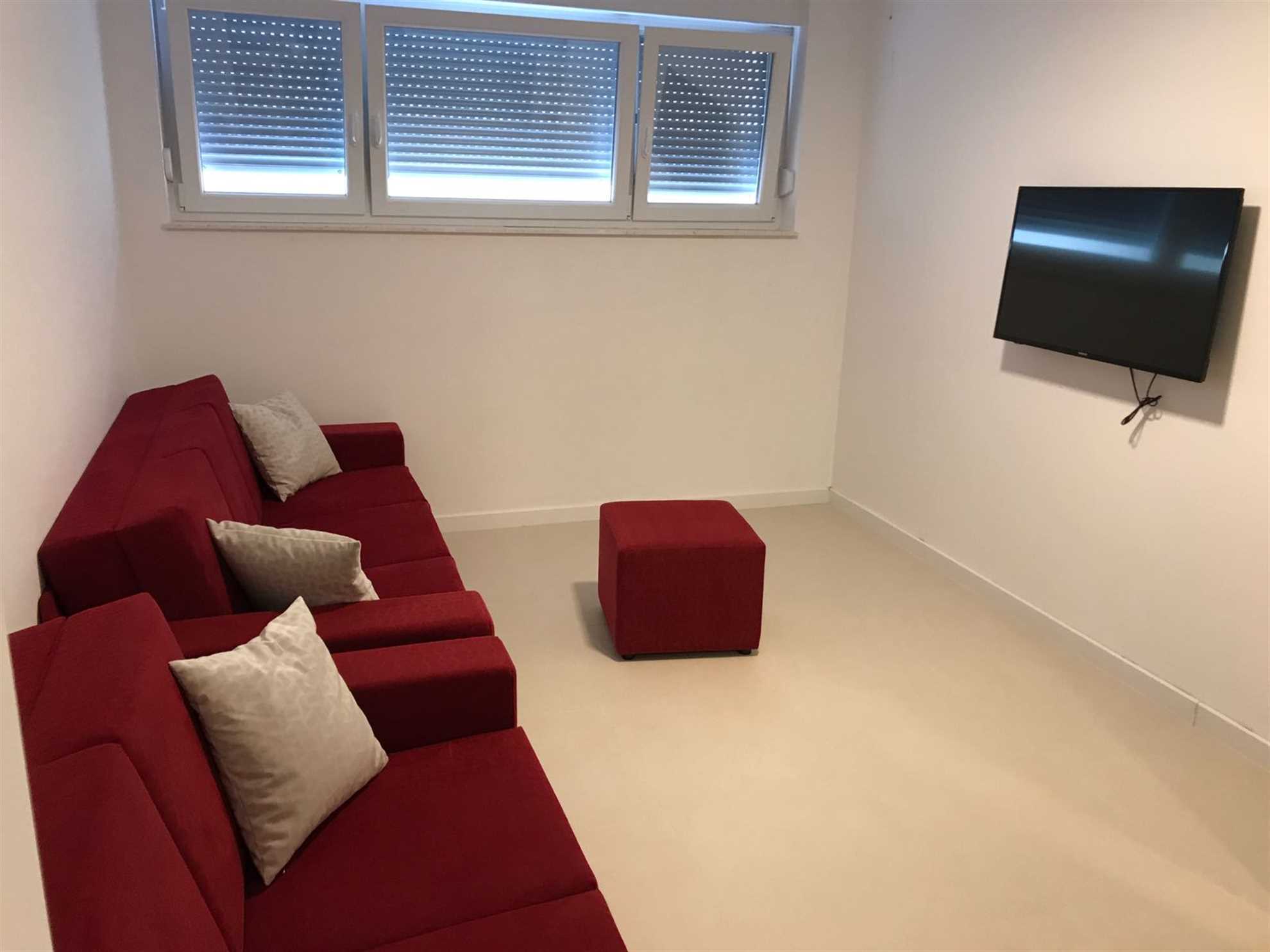 Economy Basement Apartment for 6