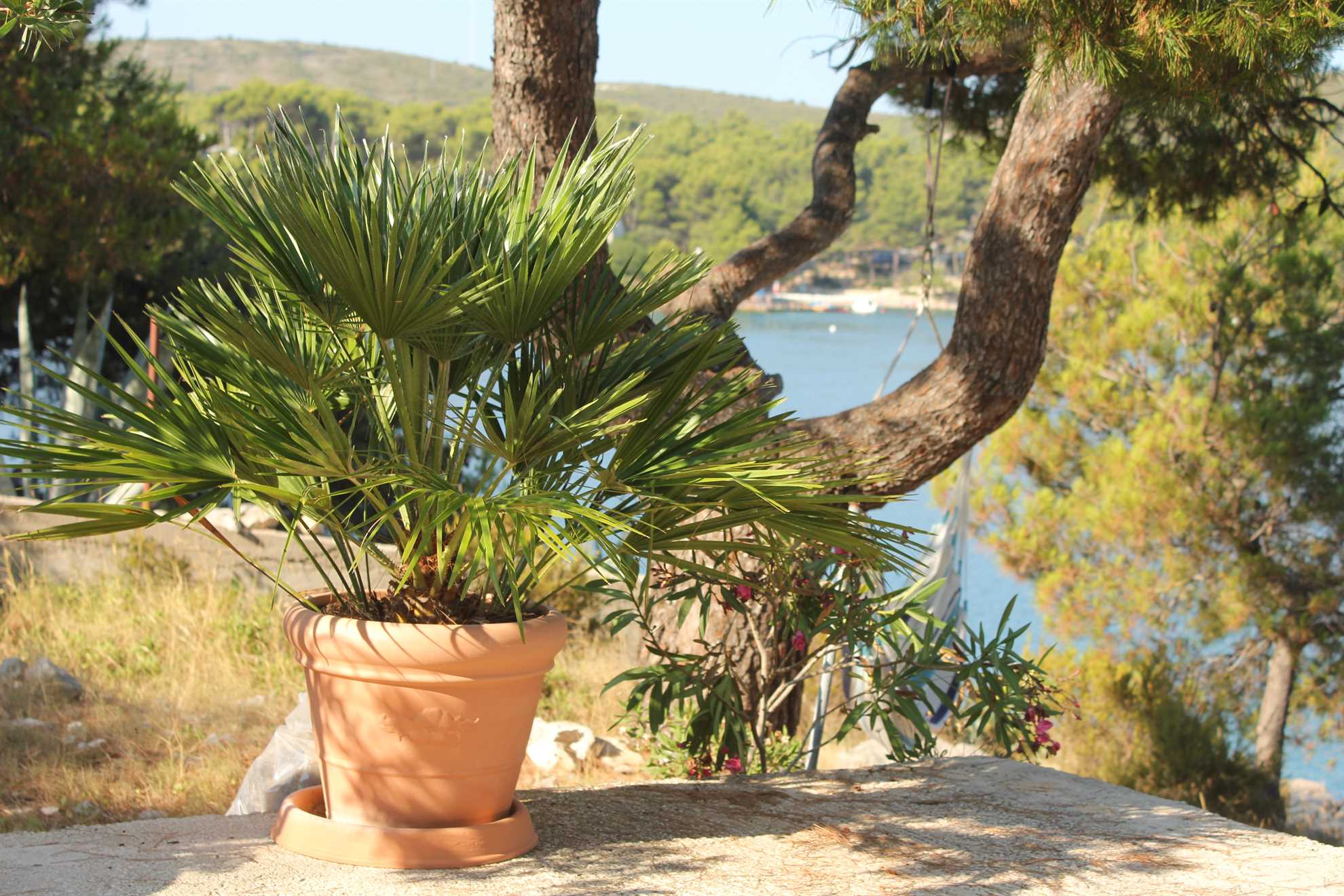 SUNSET VILLA HVAR Penthouse Apartment PURPLE LOFT