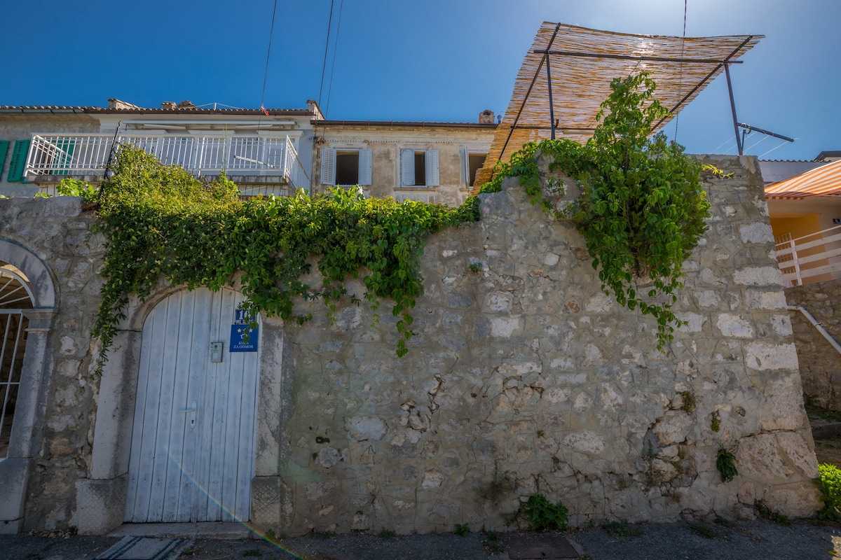 Vila Ivana 1903