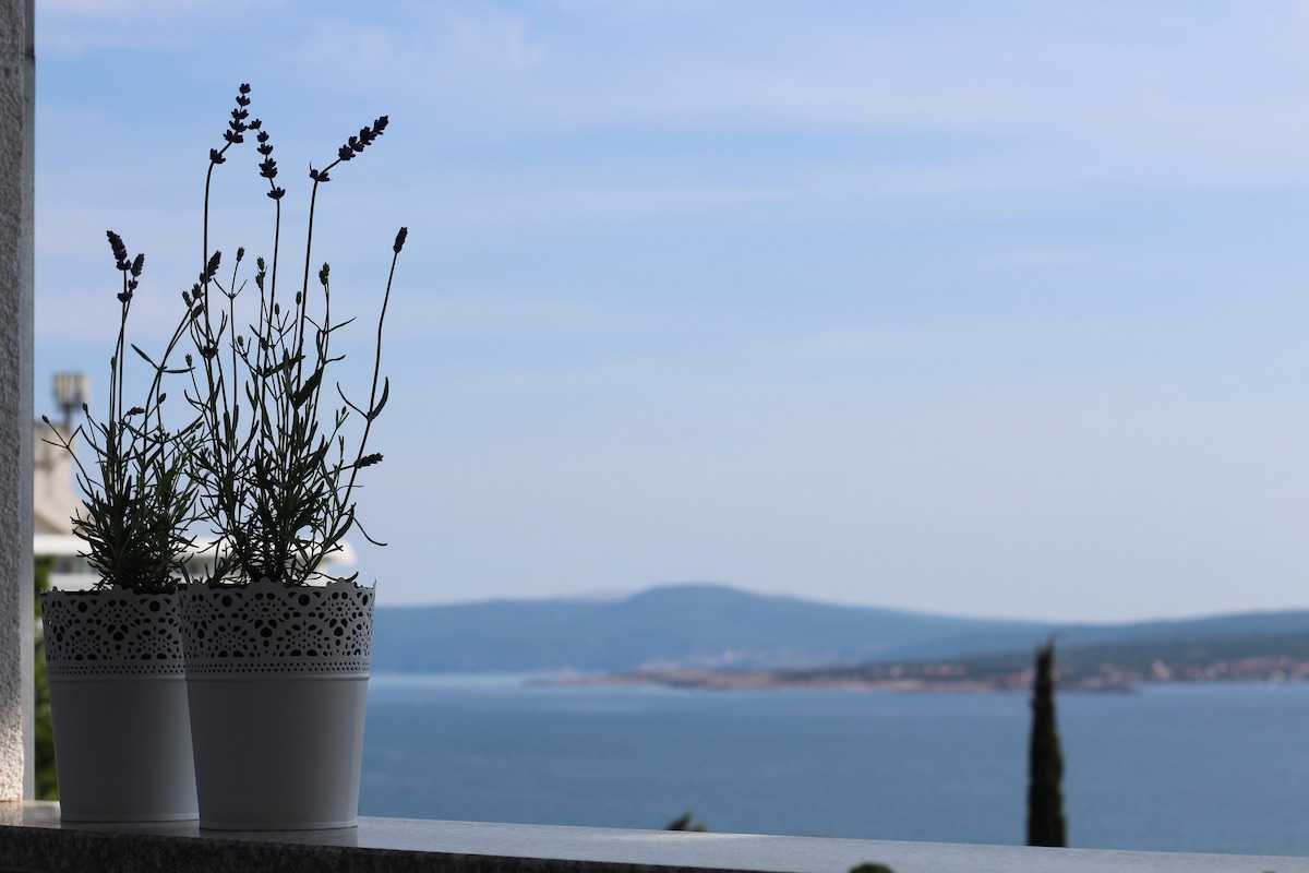 Apartment Marija 4
