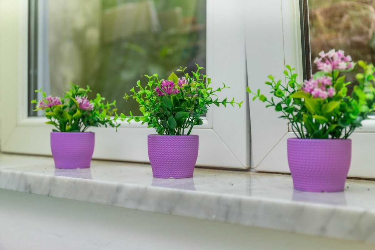 Apartman Buki-Timea