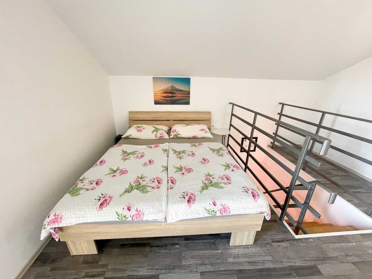 Apartment Iva 1