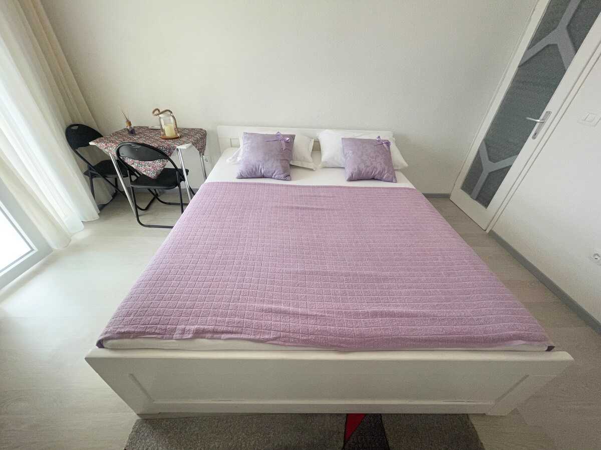Studio-Apartment Florijan 1