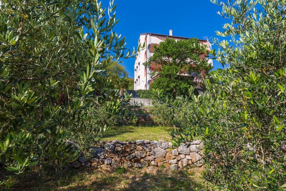 Apartment Rino 1