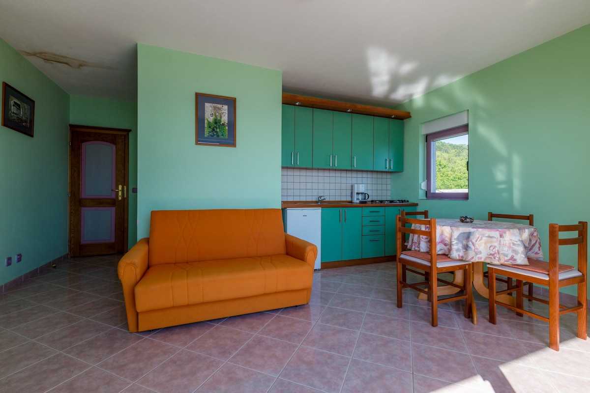 Apartman Rino 3
