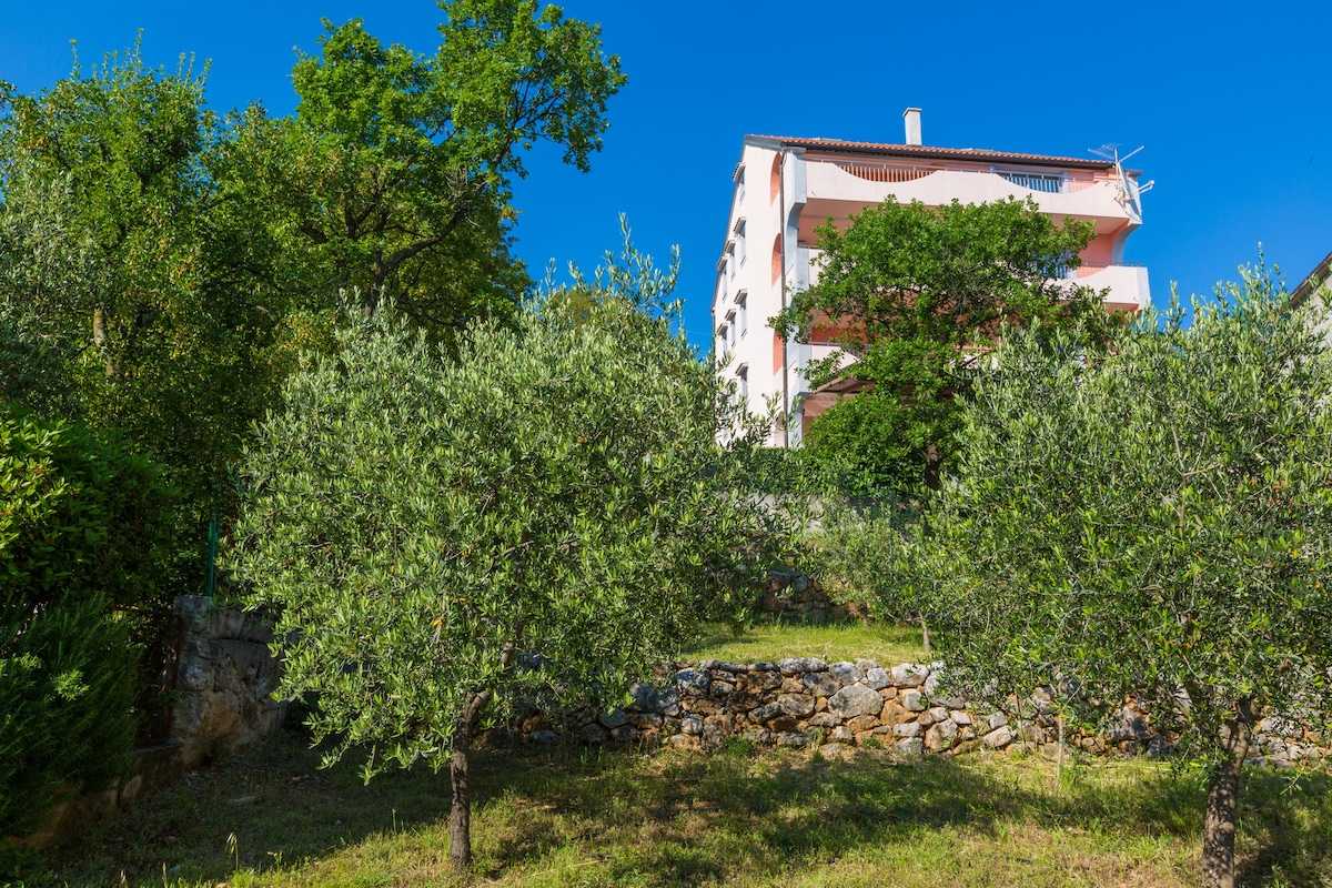 Apartman Rino 3