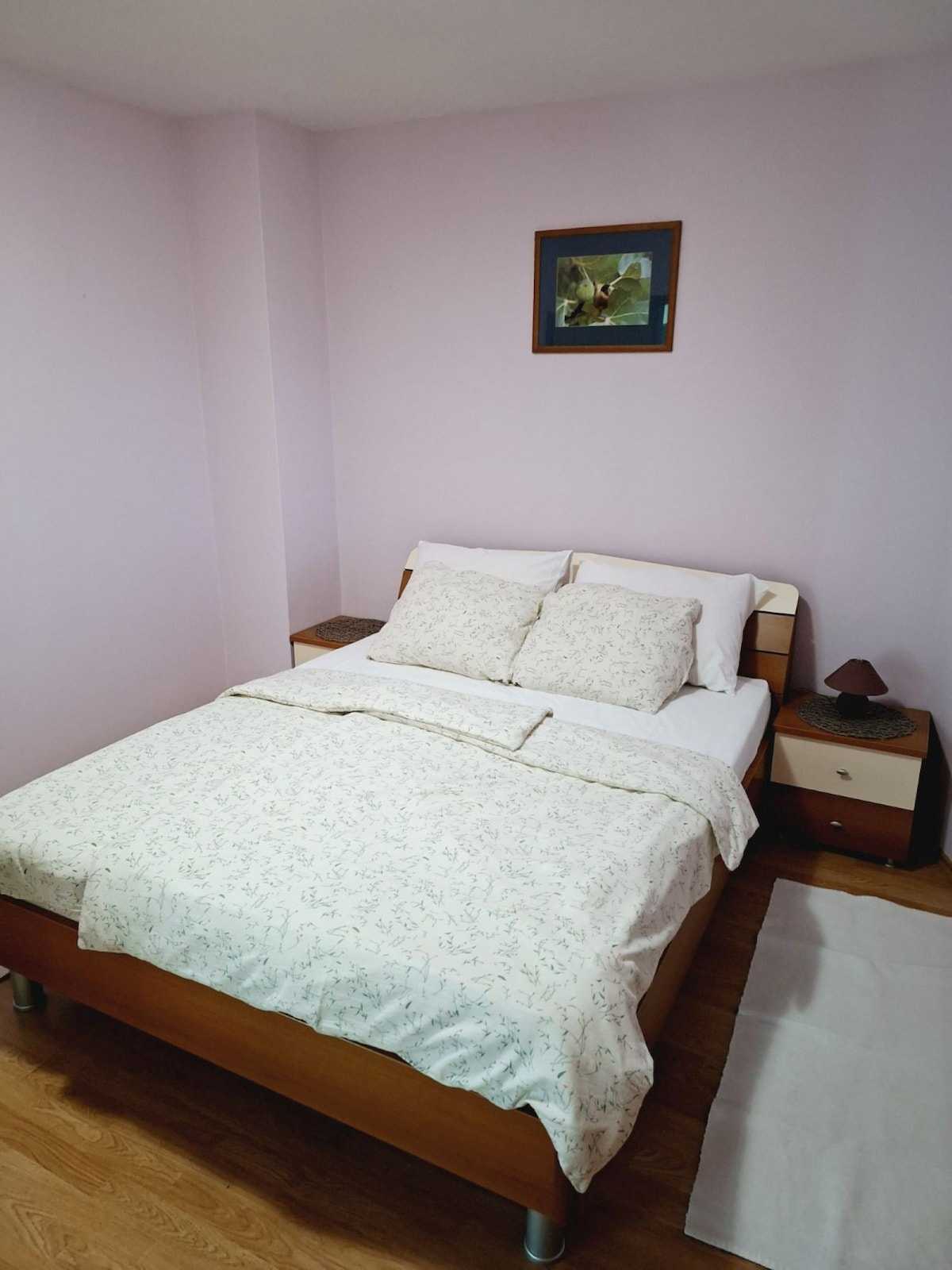 Apartman Rino 3