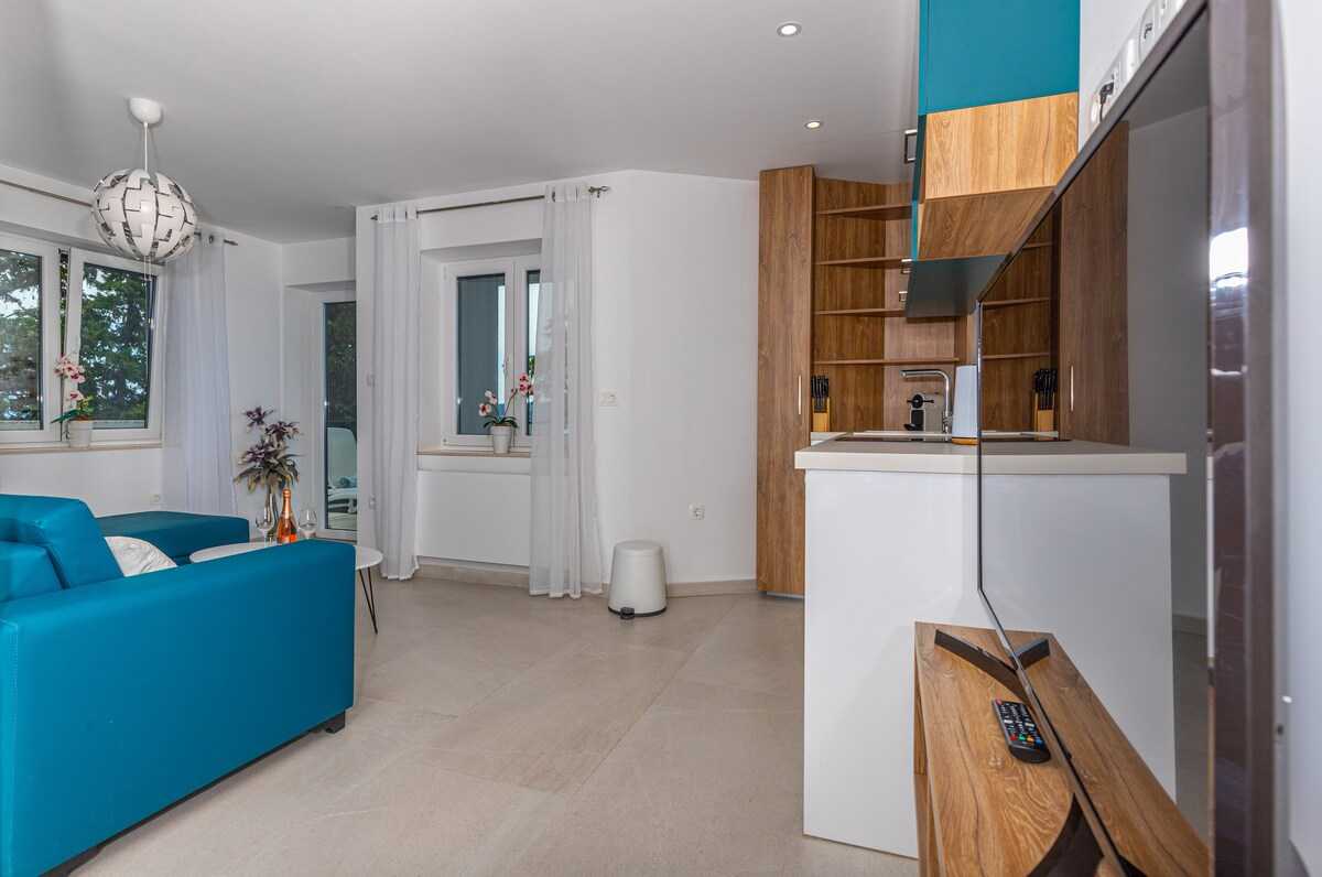 Apartment Maxim