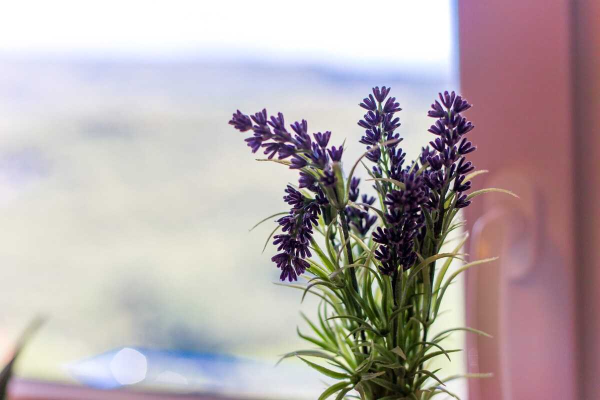 Apartman Aqua-Jurić