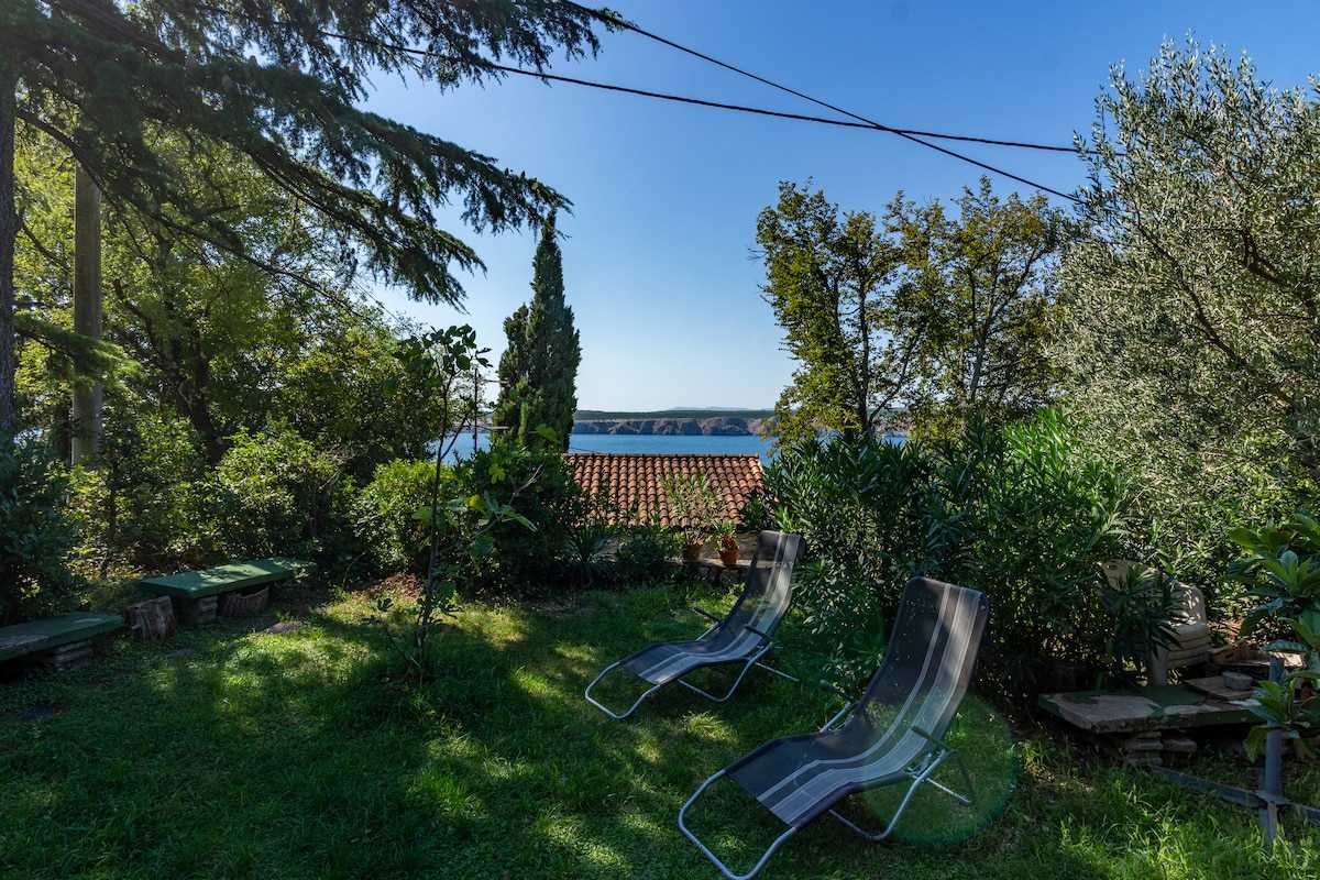 Apartman Azzuro Bay 1