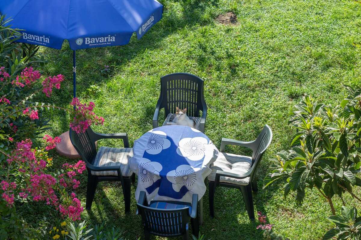 Apartman Azzuro Bay 2