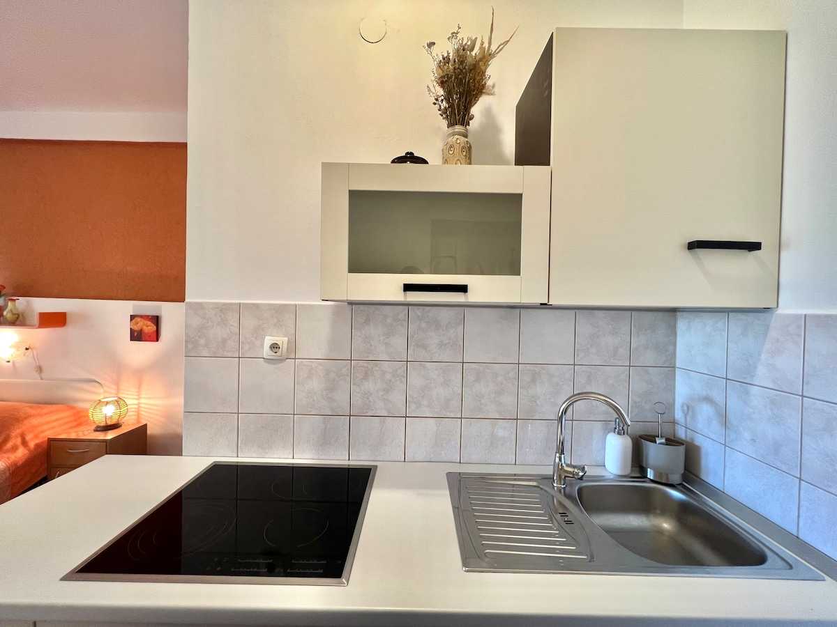 Apartman Zeleni raj 1