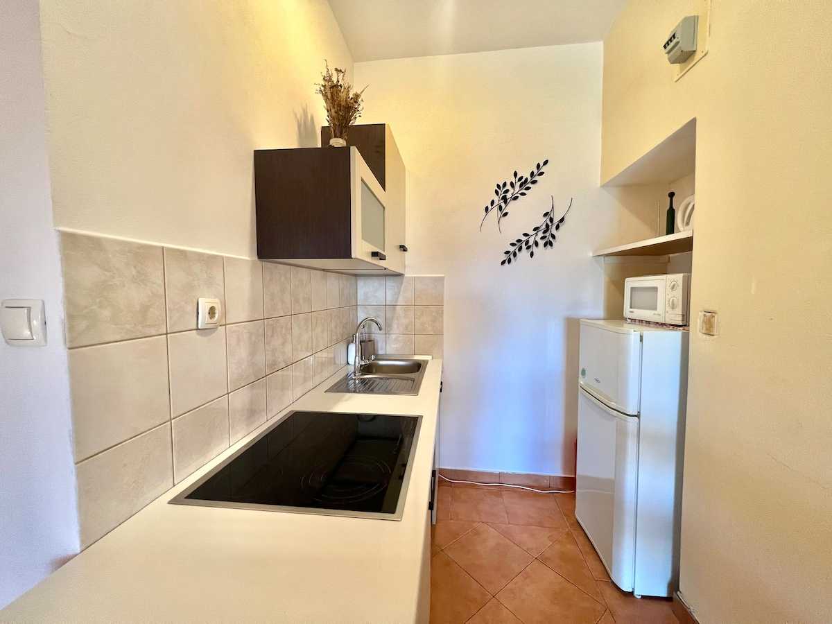 Apartman Zeleni raj 1