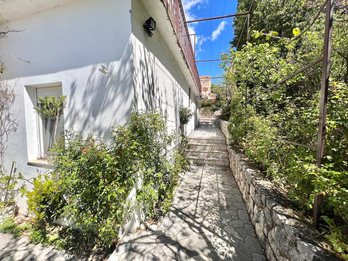 Apartman Zeleni raj 3