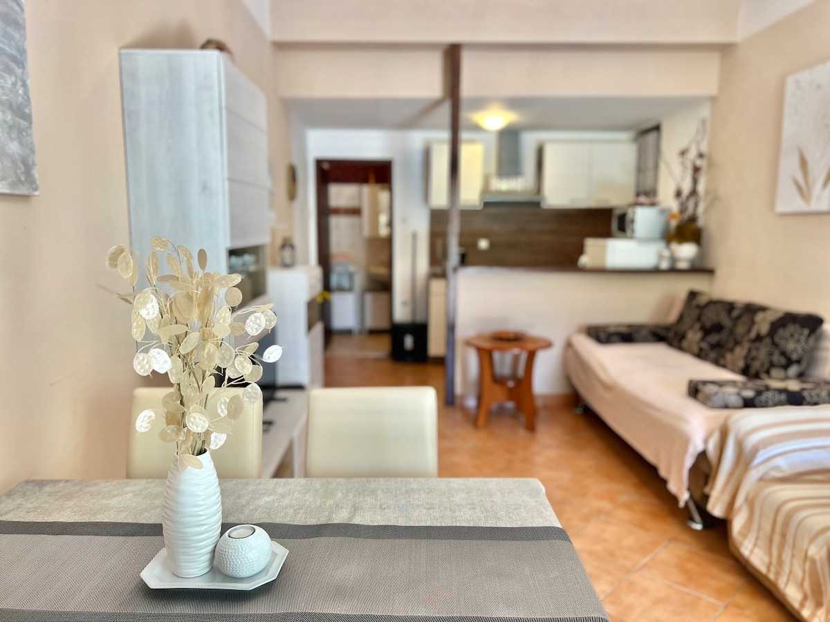Apartman Zeleni raj 3