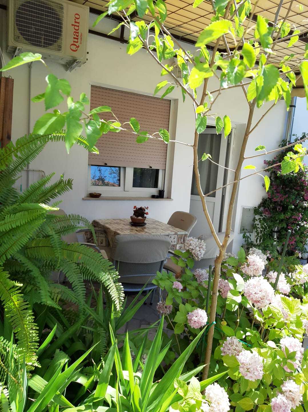 Apartman Zeleni raj 3