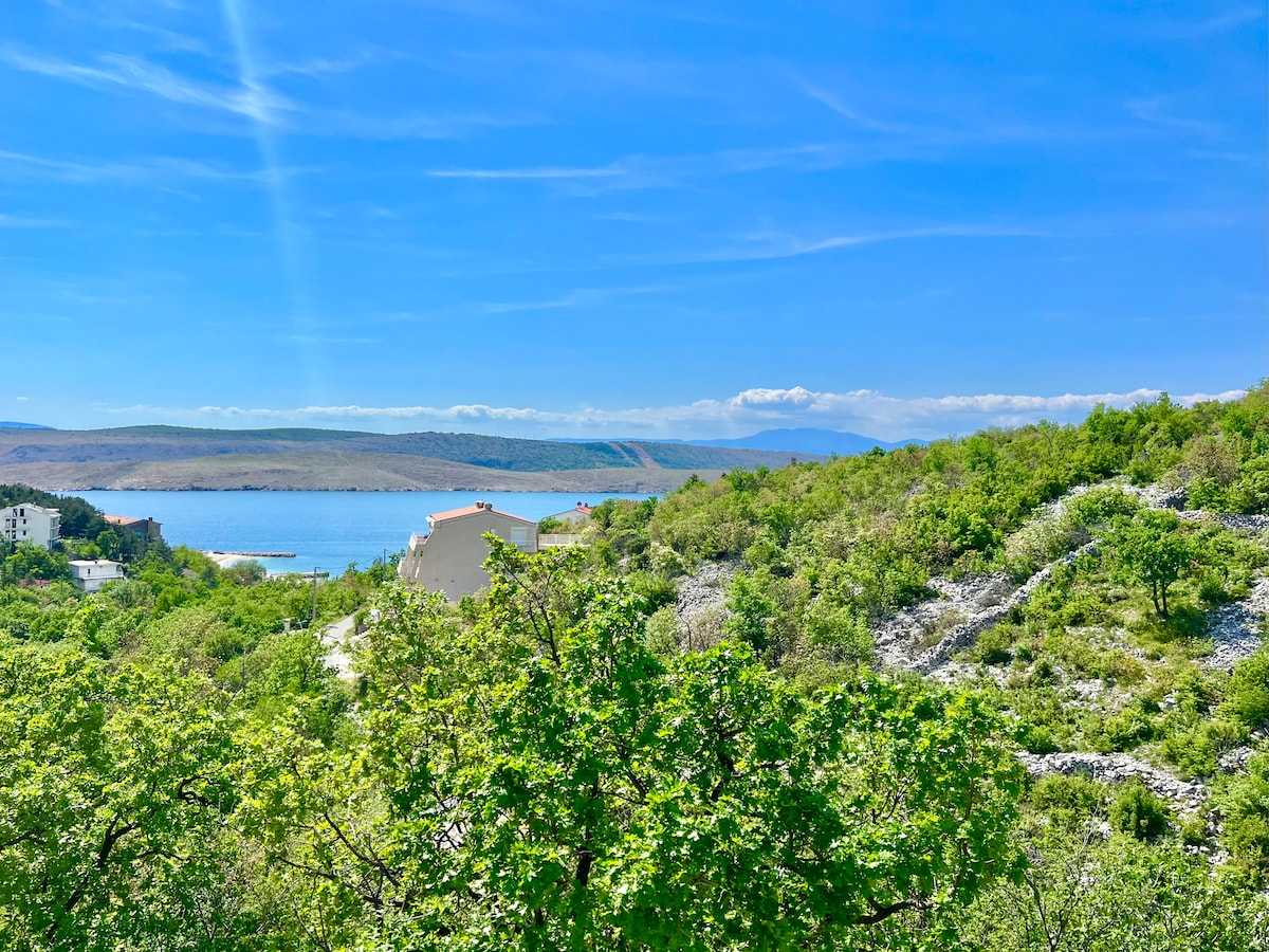 Apartman Marijana