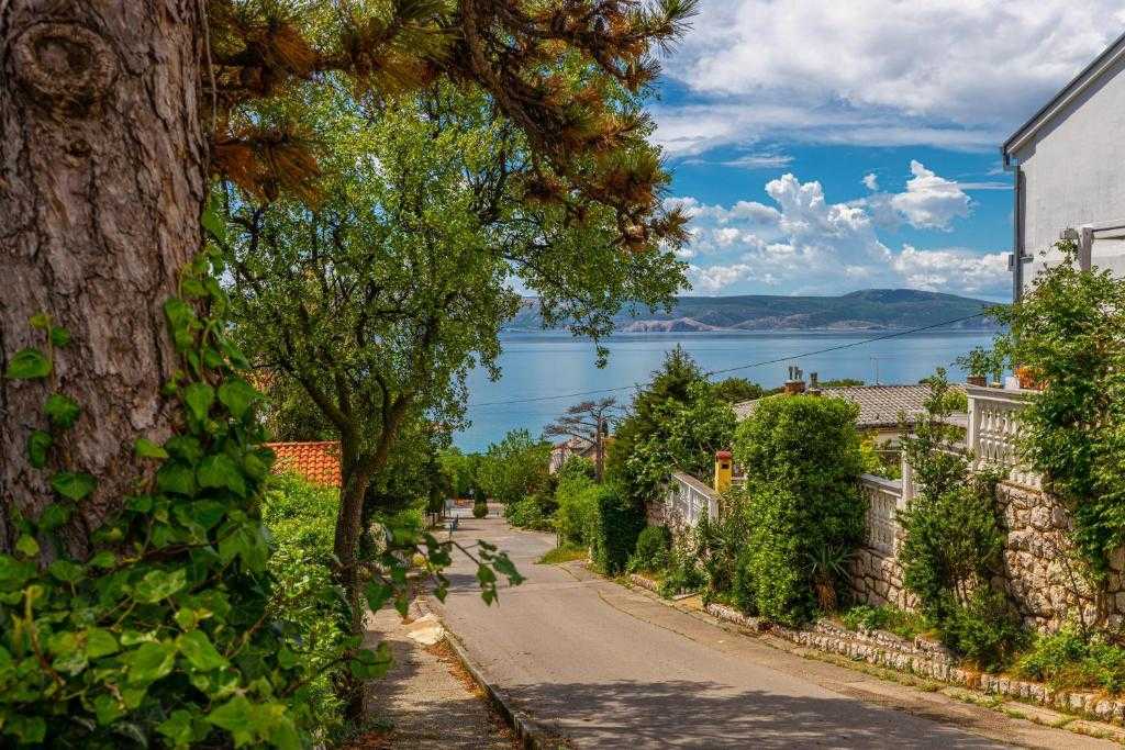 Apartman Velvet Vista 4