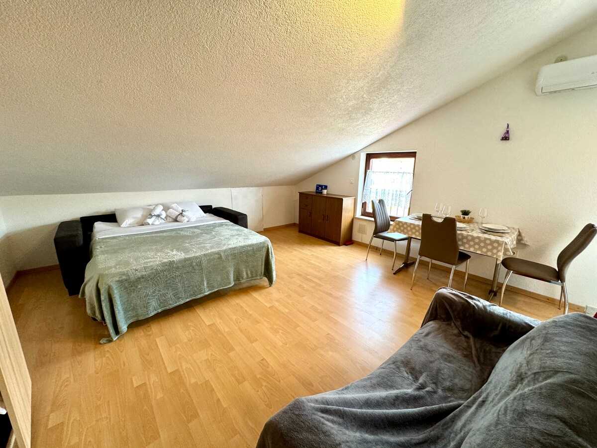 Studio apartman Vida