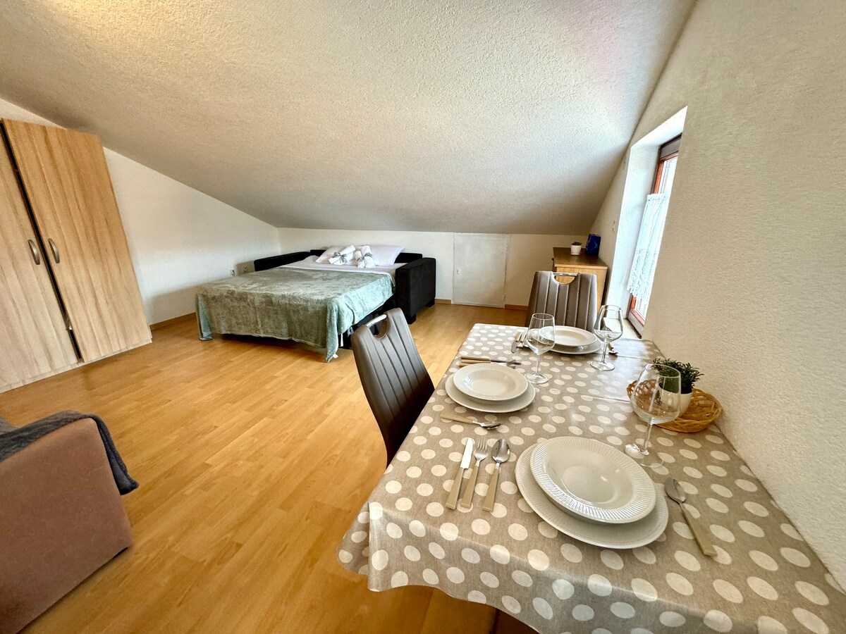 Studio apartman Vida
