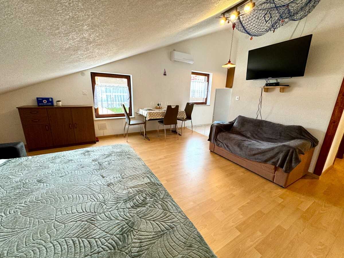 Studio apartman Vida